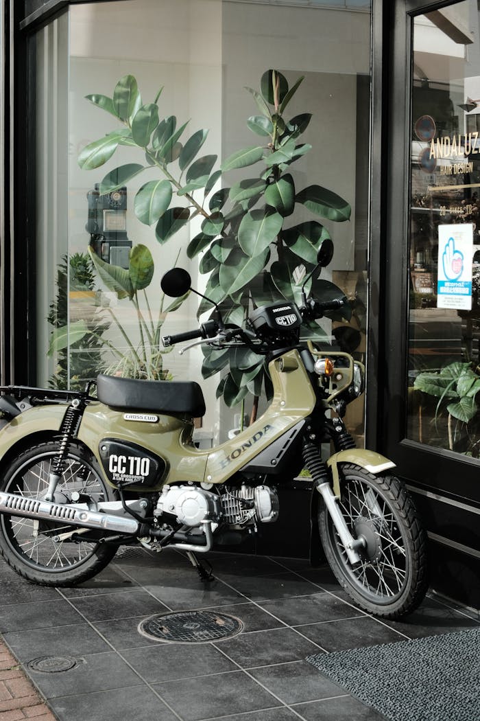 Parked Honda motorcycle beside a glass storefront with potted plants, urban vibe.