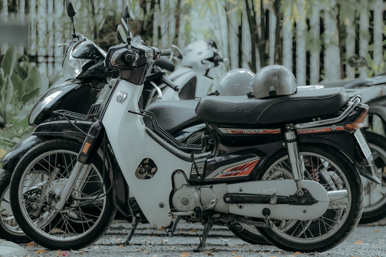 A collection of vintage motorbikes parked outdoors under lush greenery.